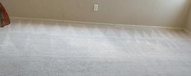 end of lease carpet cleaning gungahlin