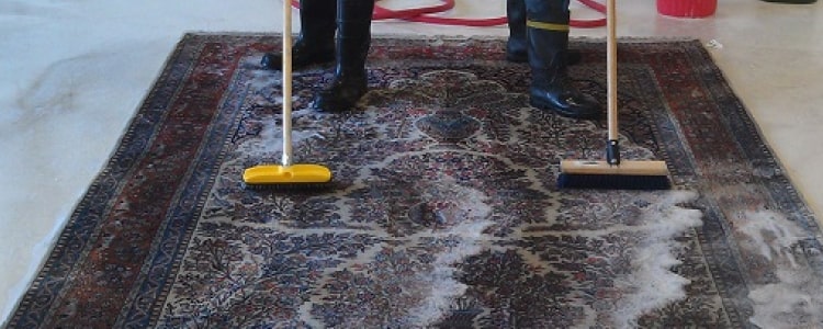 rug cleaning gungahlin